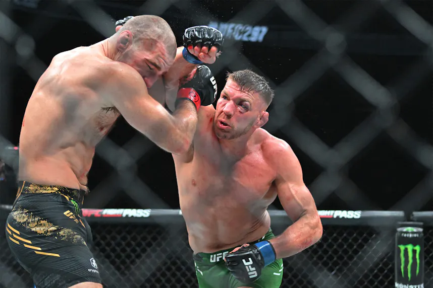 UFC 312 odds and betting lines.