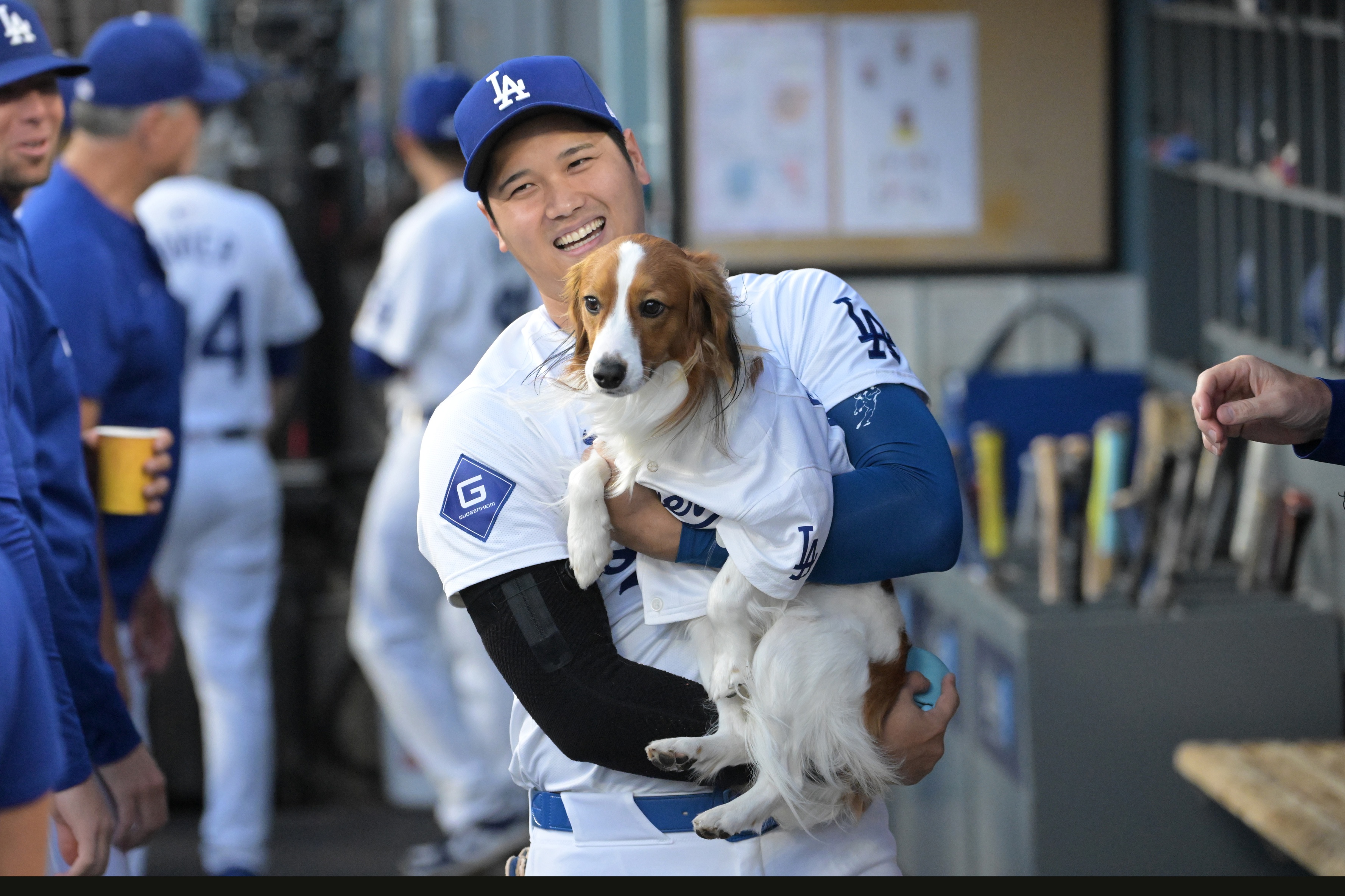 Shohei Ohtani walks through the dugout with his dog Decoy after delivering the first pitch before the game against the Baltimore Orioles at Dodger Stadium.<br>