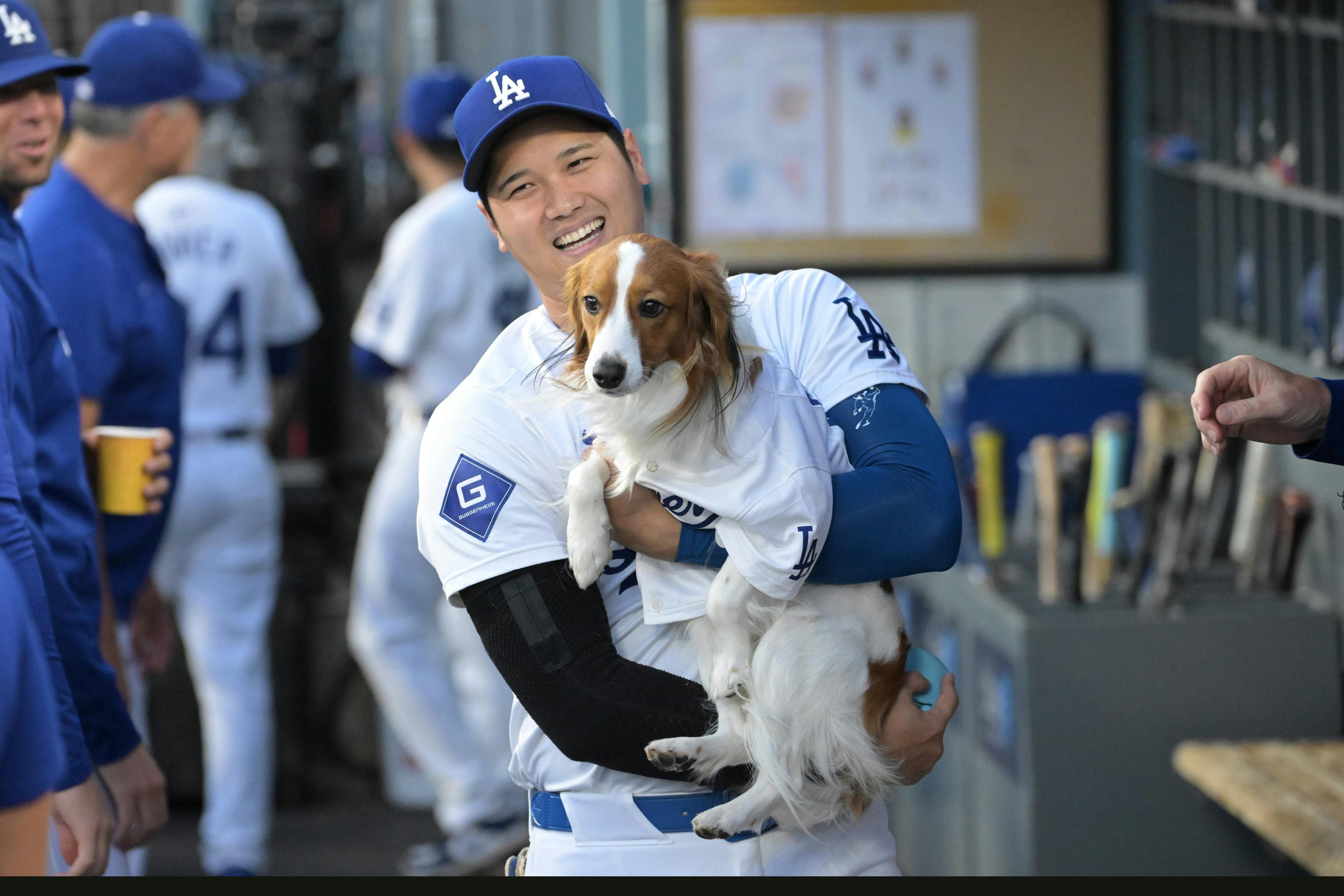  Shohei Ohtani walks through the dugout with his dog Decoy after delivering the first pitch before the game against the Baltimore Orioles at Dodger Stadium.<br>