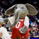 The Alabama Crimson Tide mascot dances on the sideline as we look at Alabama's recent efforts to establish a legal sports betting industry