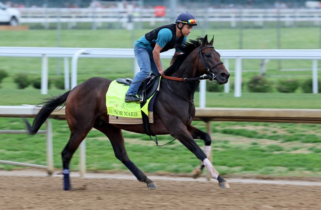 Honor Marie runs on the track during the morning training as we make our Kentucky Derby picks.