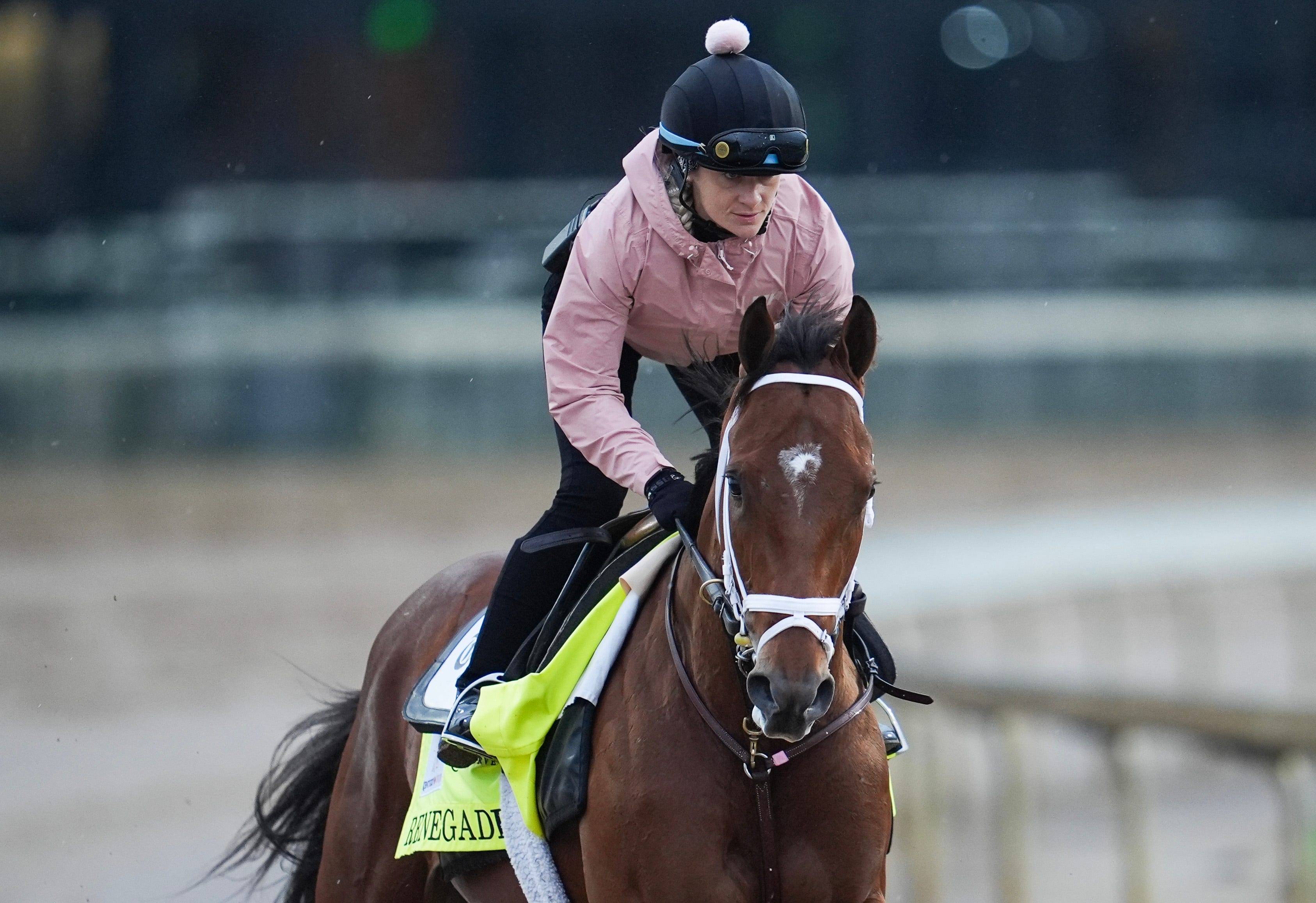 2026 Kentucky Derby contender Renegade during a morning training session as he is featured in our Kentucky Derby post positions.
