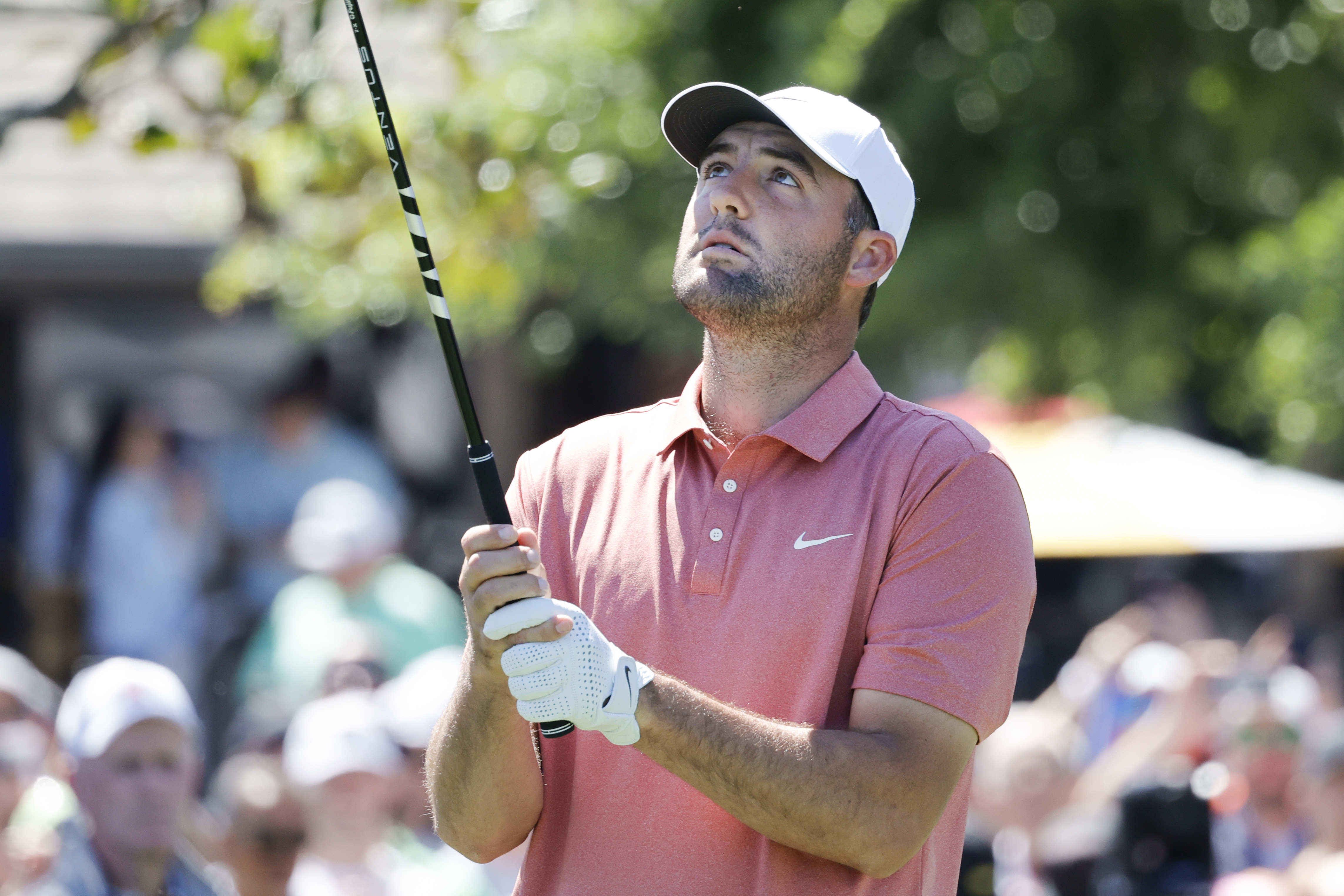 🏆 Bet Scottie Scheffler To Win The Players Championship Now: Odds Won't Get Better