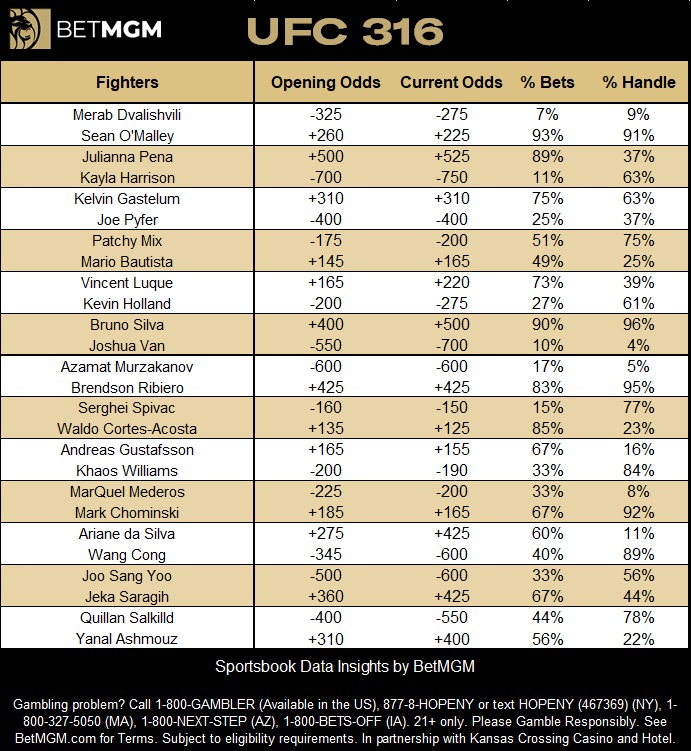 Bet Mgm Insights