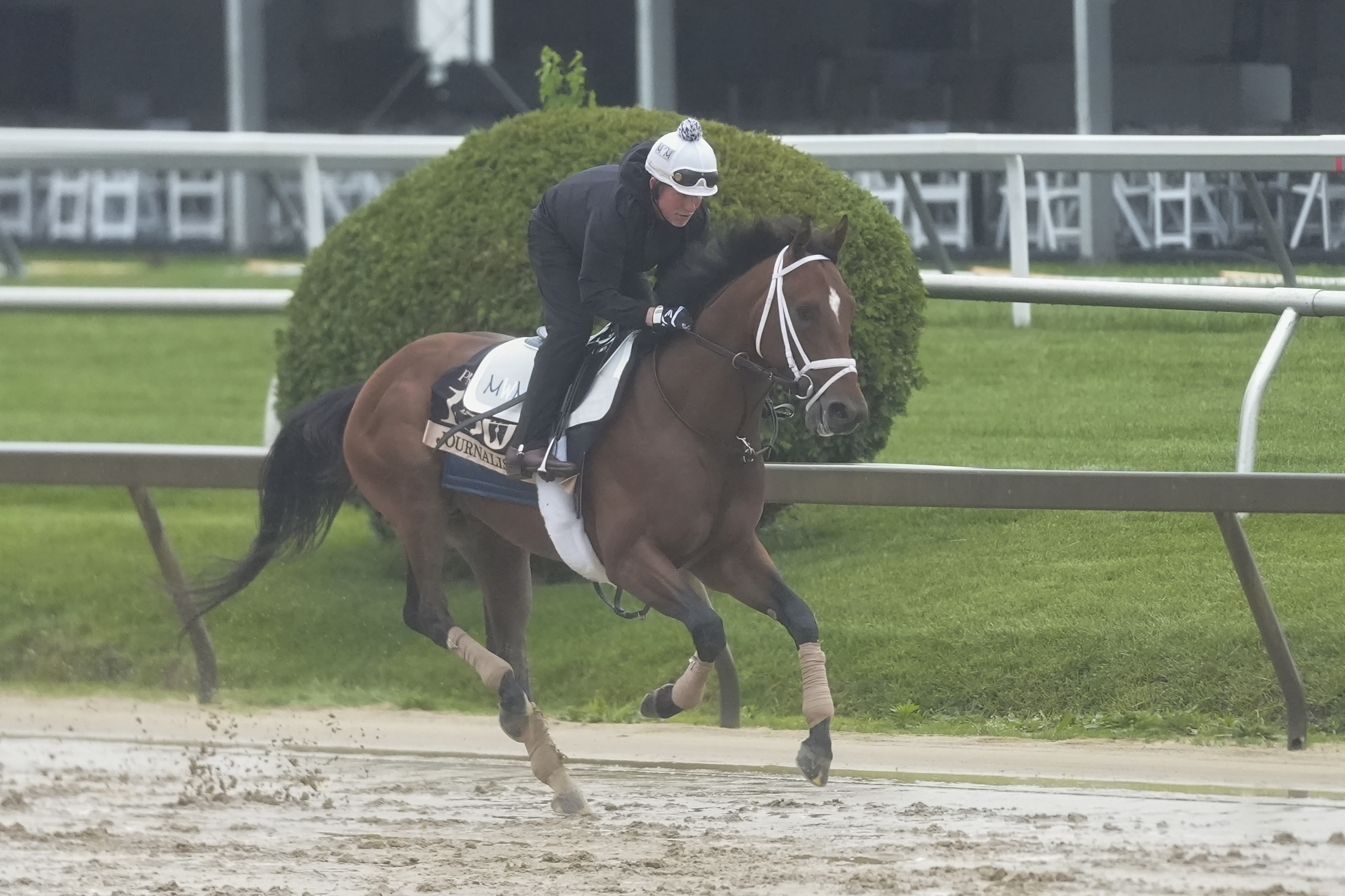 Free Preakness Stakes Picks & Predictions 2025: Expert Picks and Best Bet to Win