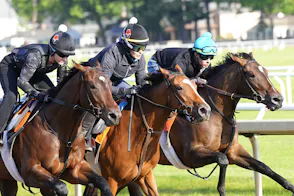 Caesars Extends Horse Racing Betting to Indiana and Illinois