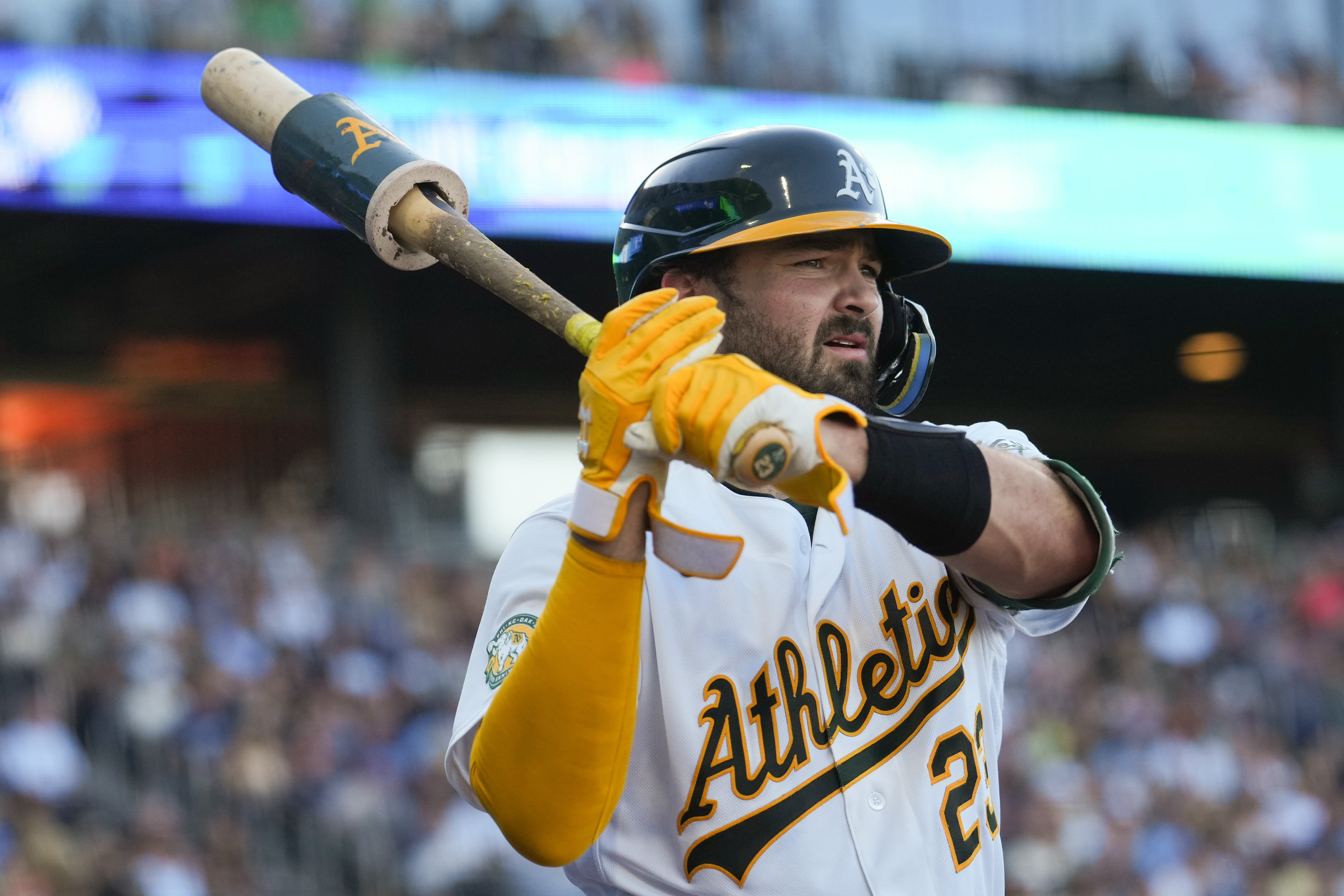 Athletics catcher Shea Langeliers (23), seen here looking on during a game, is featured in our home run predictions today.