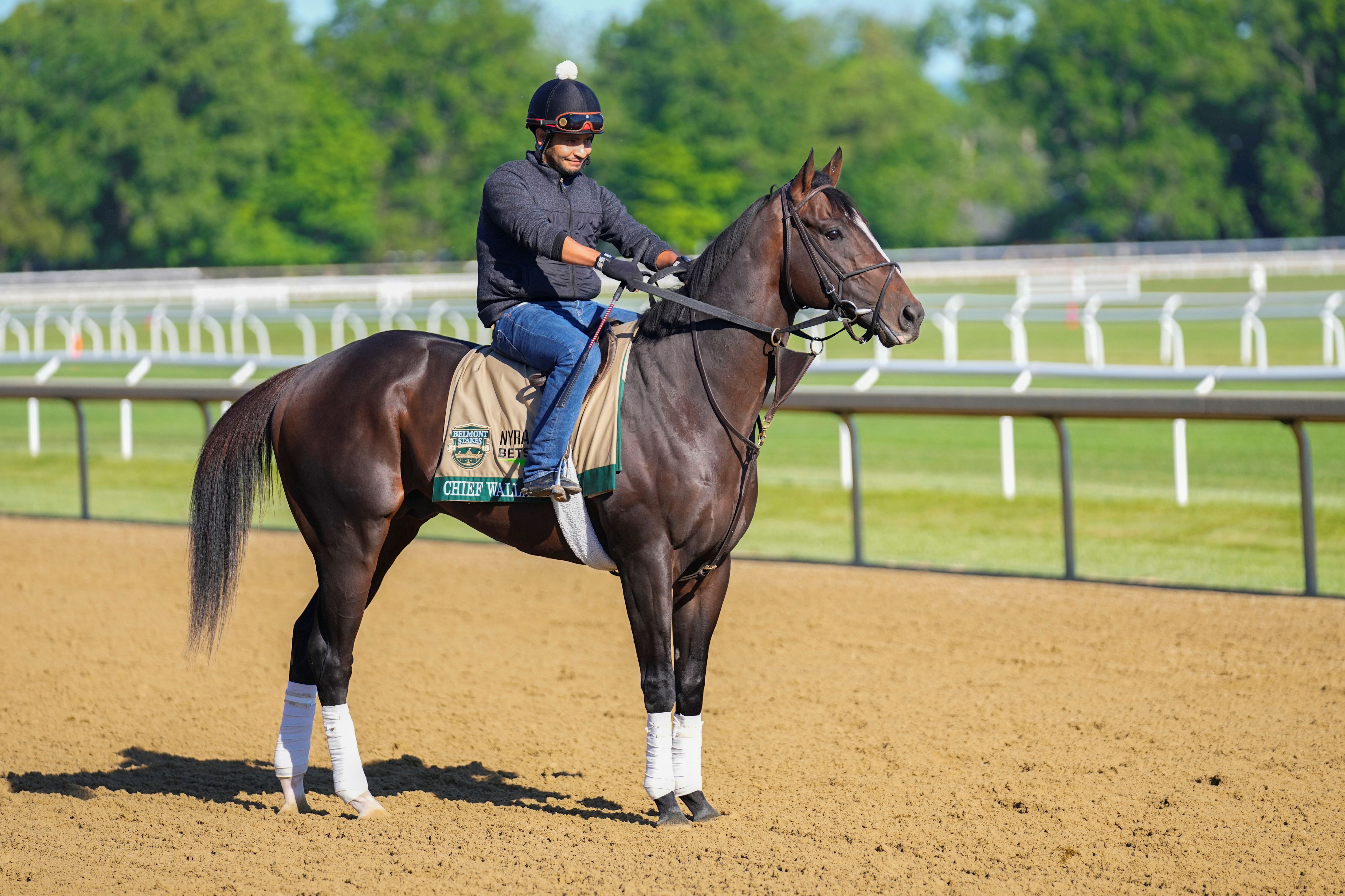 Chief Wallabee during morning workouts as we make our best Belmont Stakes predictions and picks