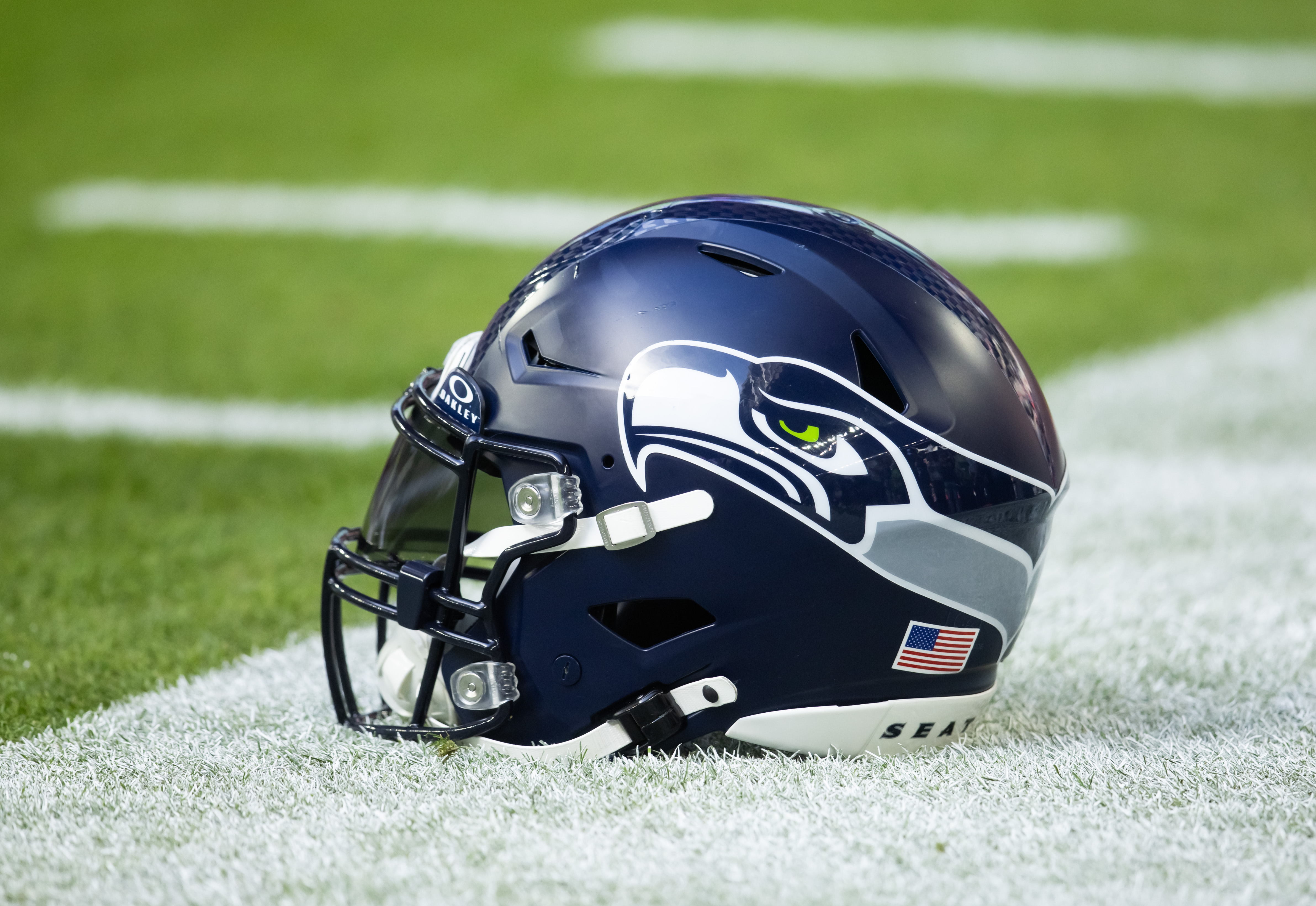 Detailed view of a Seattle Seahawks helmet. We explain the origin of the Seahawks logo as we offer our birder's guide for Super Bowl 2026.
