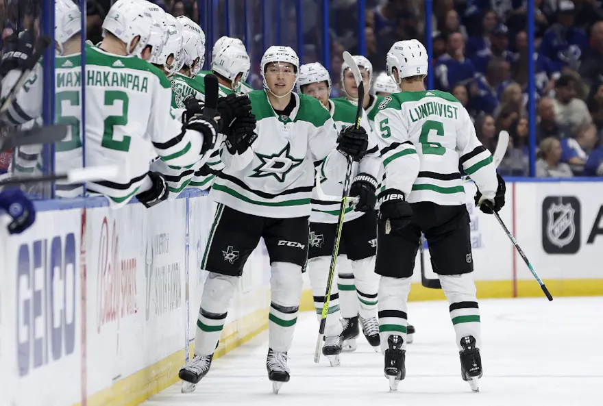 Jason Robertson of the Dallas Stars celebrates a goal during a game against the Tampa Bay Lightning at Amalie Arena on November 15, 2022 in Tampa, Florida. Photo by Mike Ehrmann Getty Images via AFP.