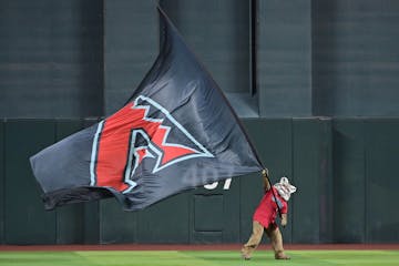 Arizona Wagers Reach $746 Million in April, a 14% Increase Year-on-Year