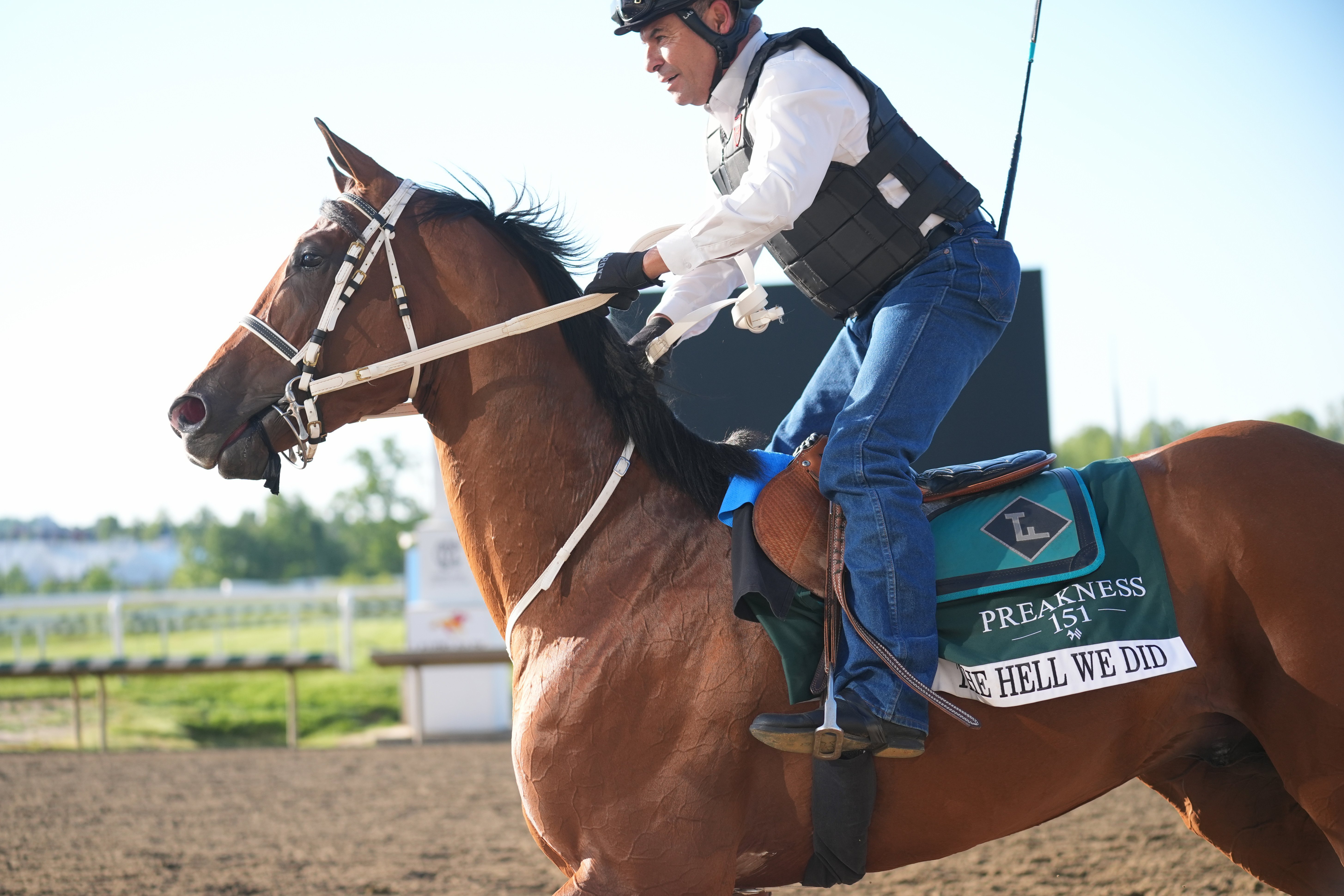 Preakness Stakes entry, The Hell We Did trains during morning workouts at Laurel Park.
