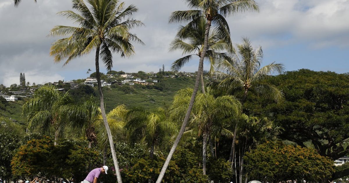 Sony Open Power Rankings Odds, Picks Among Top Contenders