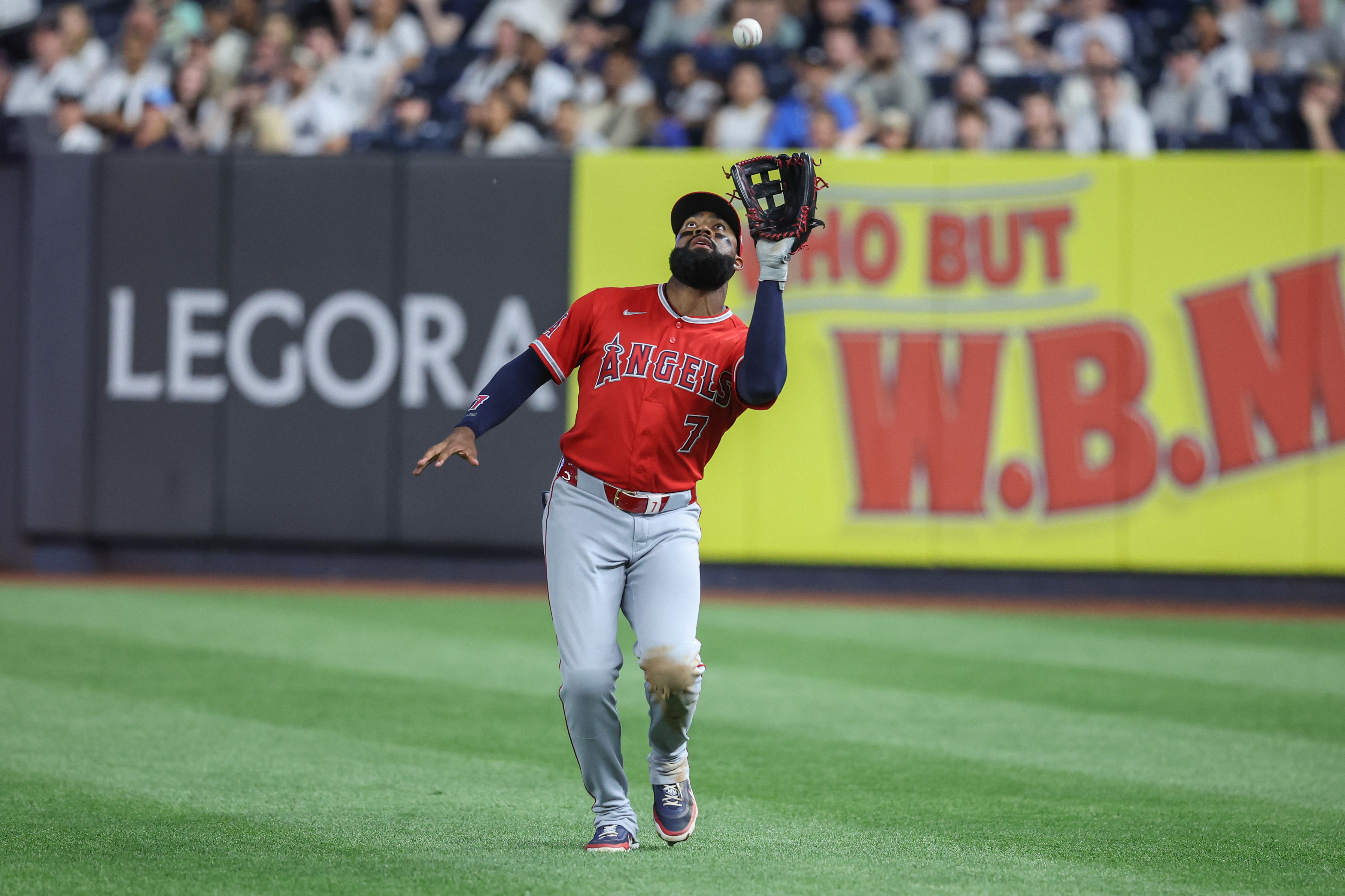 Los Angeles Angels right fielder Jo Adell (7) makes a catch as he is featured in our Angels vs Yankees win probability.