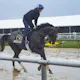 Preakness Stakes AI Predictions 2025: ChatGPT's Pick to Win, Finish Order & Best Bets