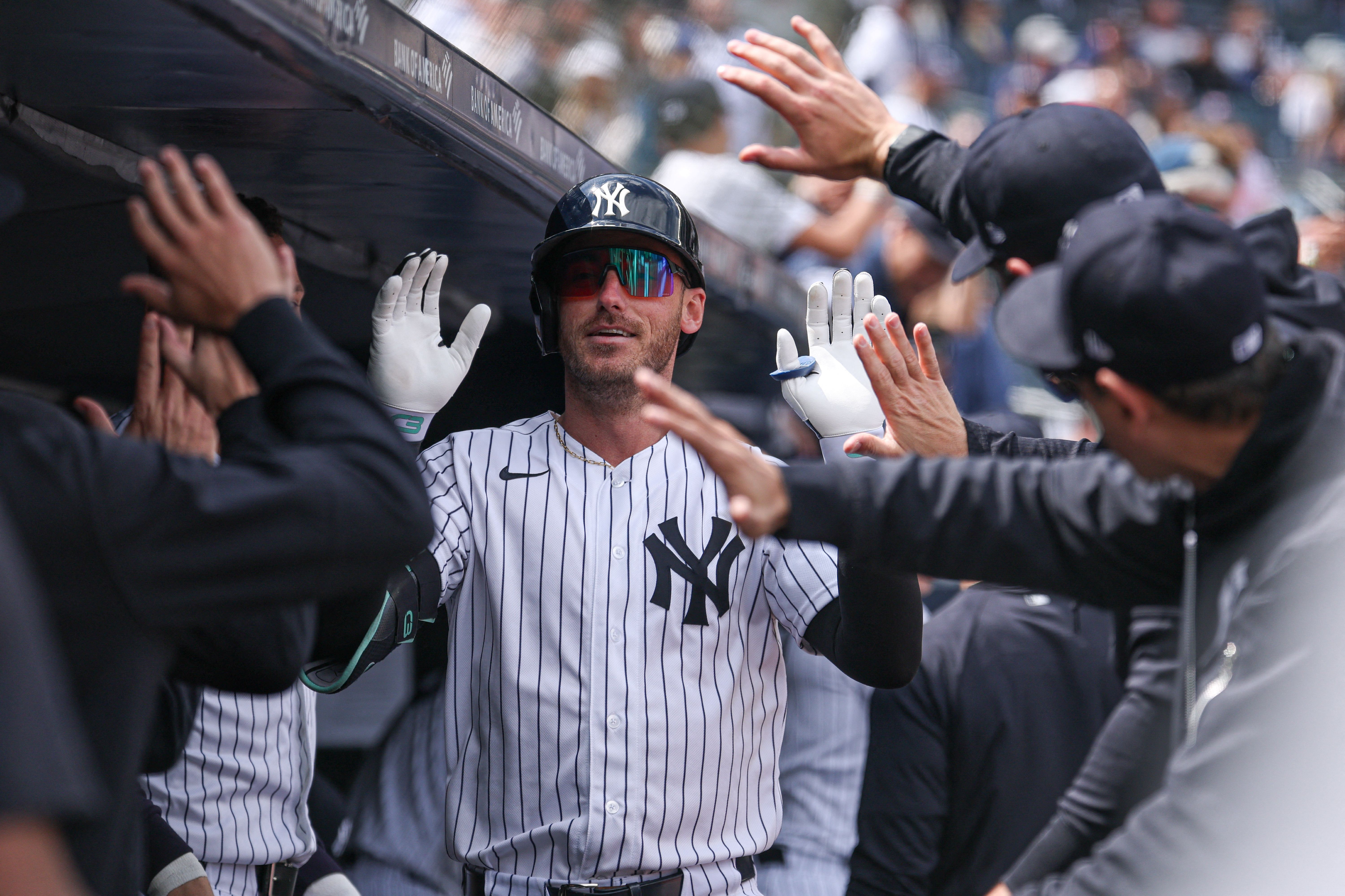 New York Yankees left fielder Cody Bellinger celebrates with teammates, and he's key as we look at the Blue Jays vs. Yankees win probability.