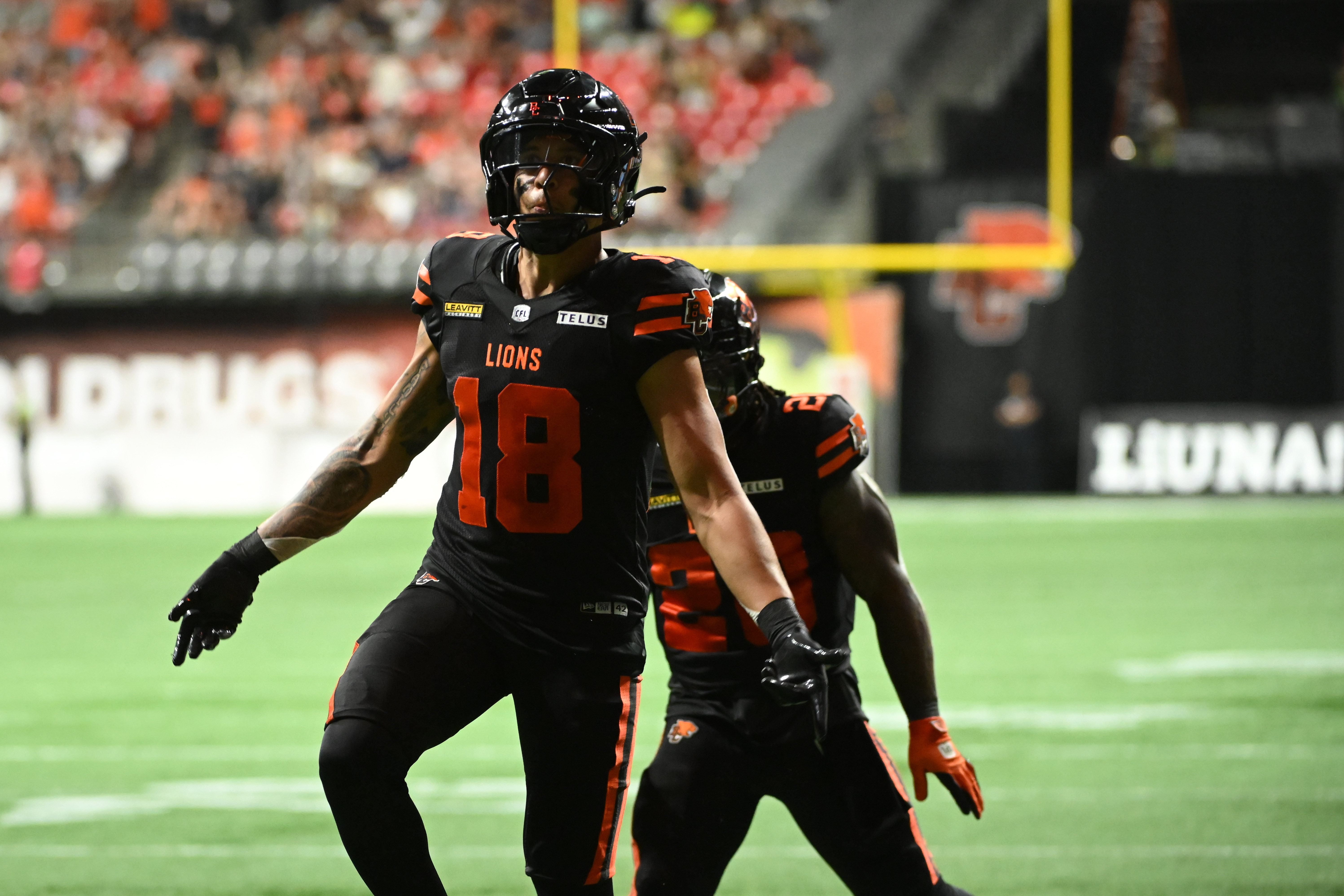 Lions vs. Redblacks Prediction, Odds & Expert Picks: CFL Week 14 Best Bets