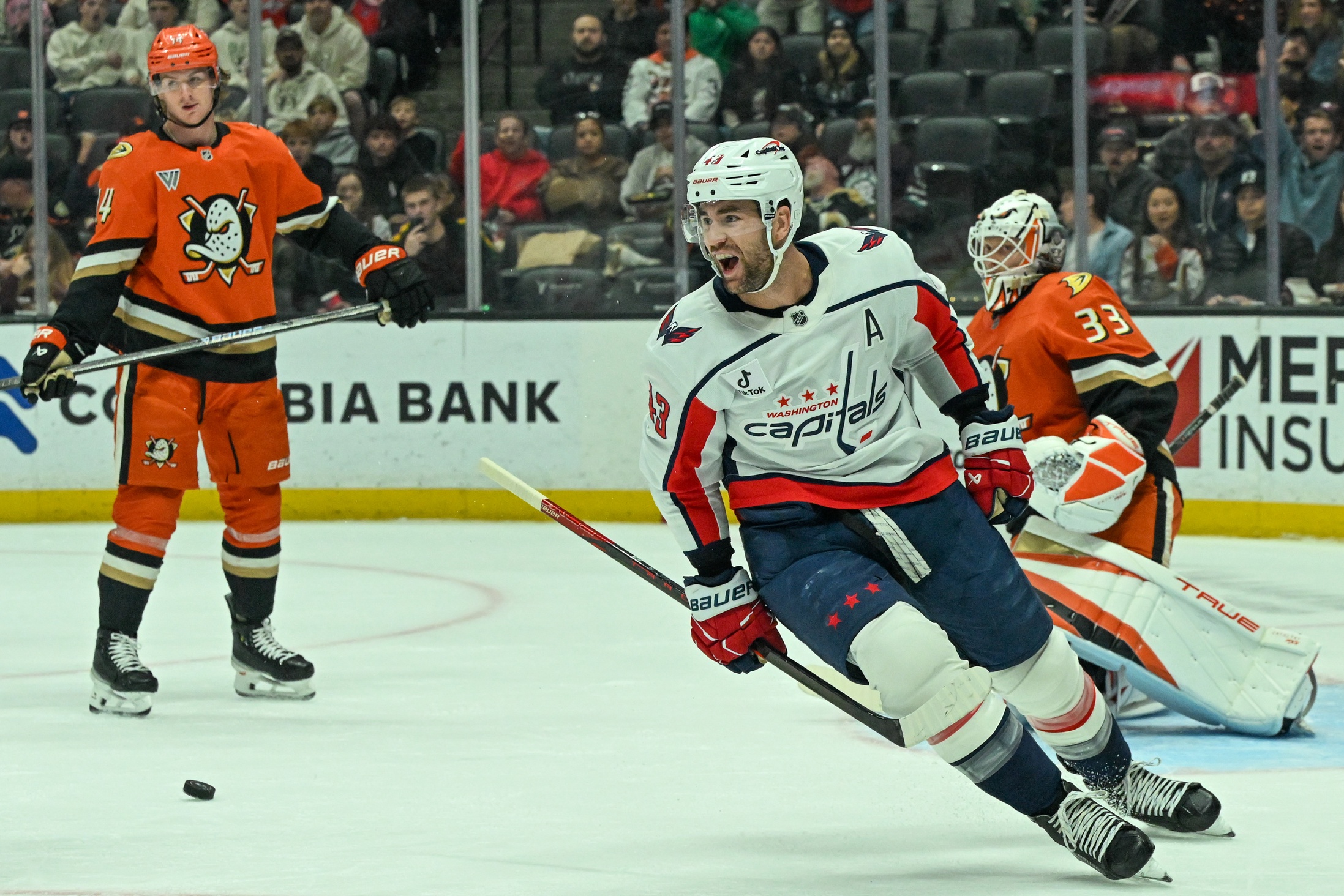 Tom Wilson celebrates after scoring as we offer our Rangers vs. Capitals player props. 