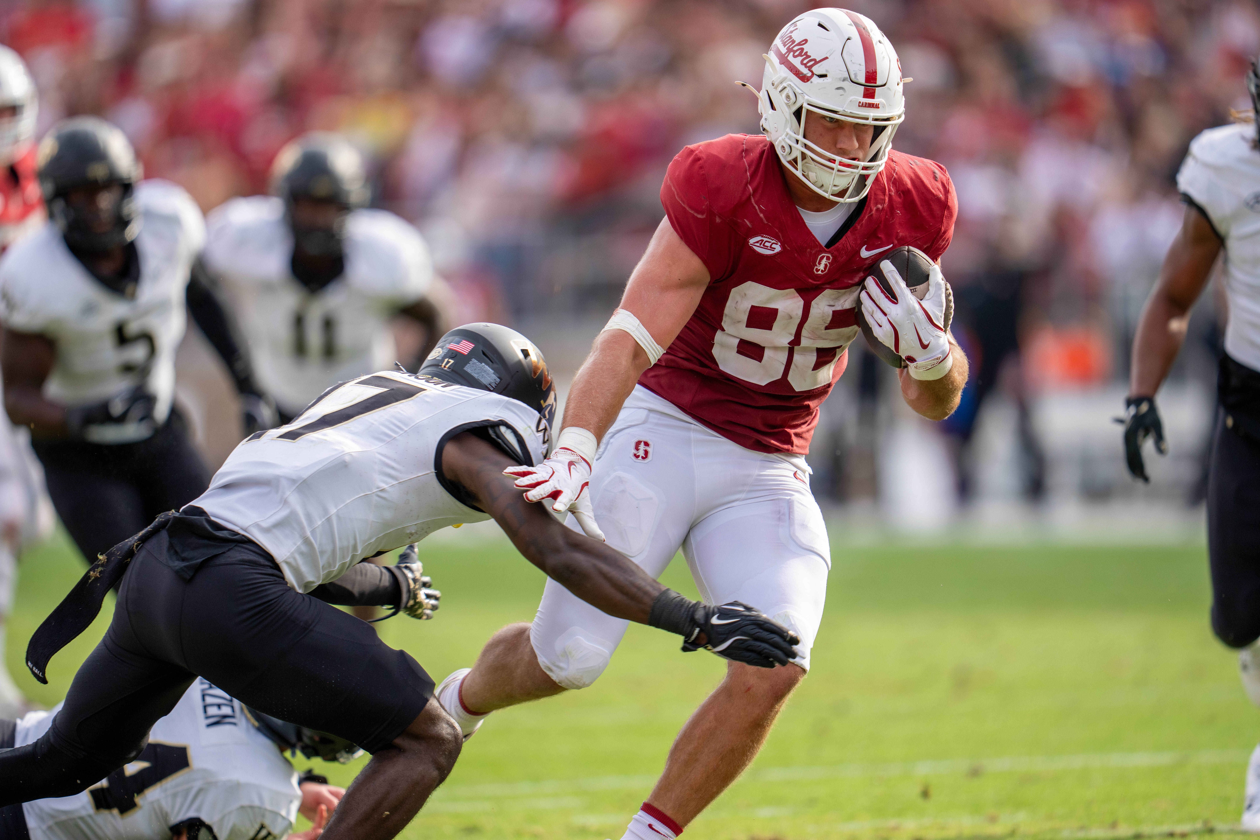 Best Stanford vs. Hawaii Player Prop Bets: Week 0 Odds & Expert Picks for Saturday