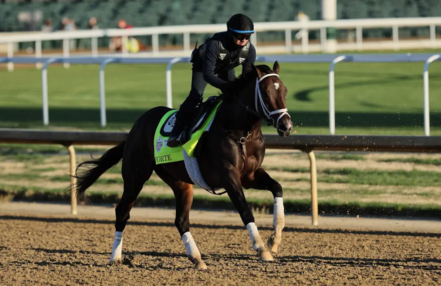 Forte runs on the track during the morning training as we look at our top free Kentucky Derby picks and predictions.