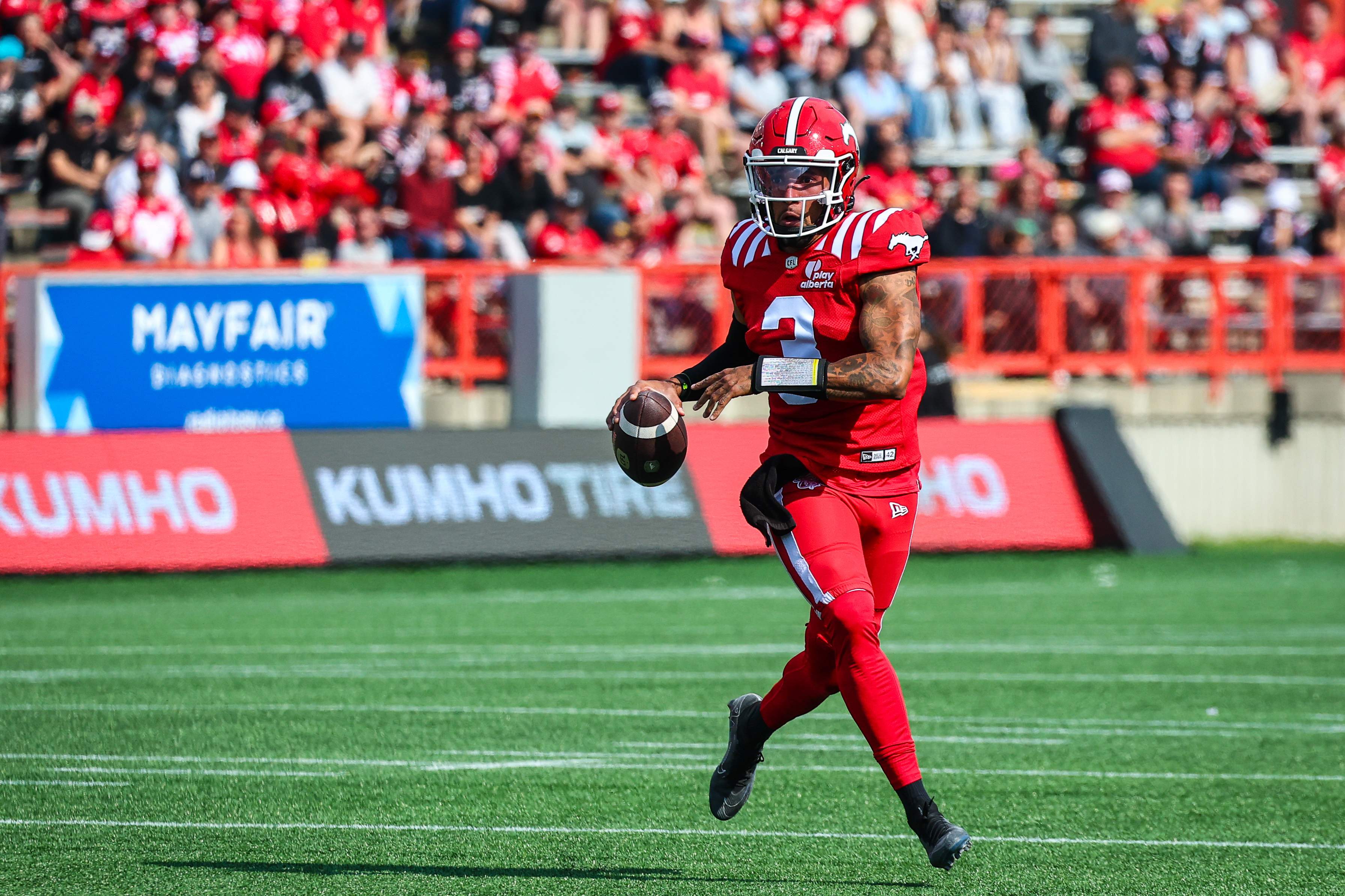 Lions vs. Stampeders Prediction, Odds & Expert Picks: CFL Week 16 Best Bets