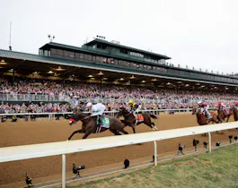 The field races down the front stretch as we look at the best Breeders Cup odds