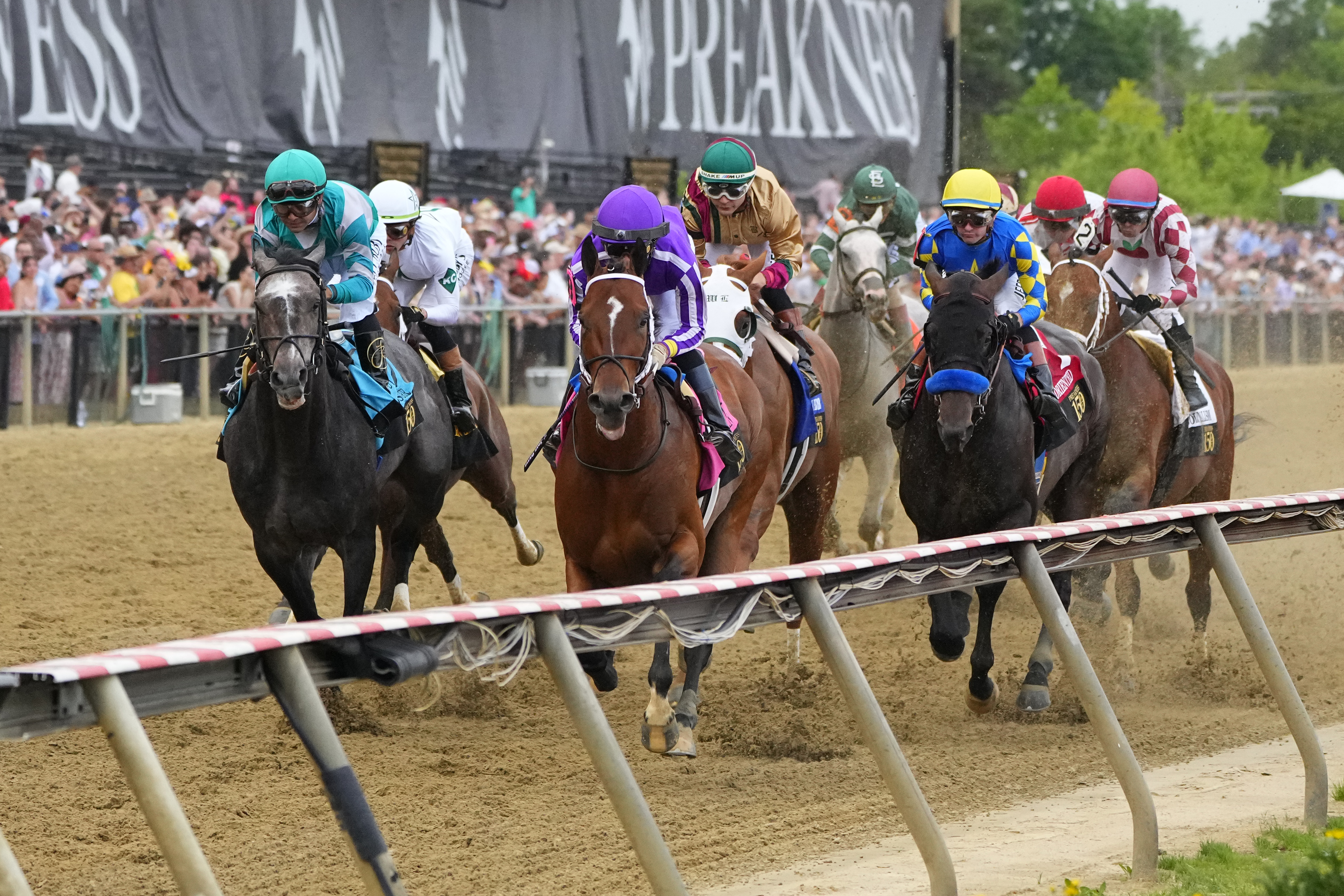🏇 Preakness Stakes Odds 2026: Betting Favorites for Laurel Park