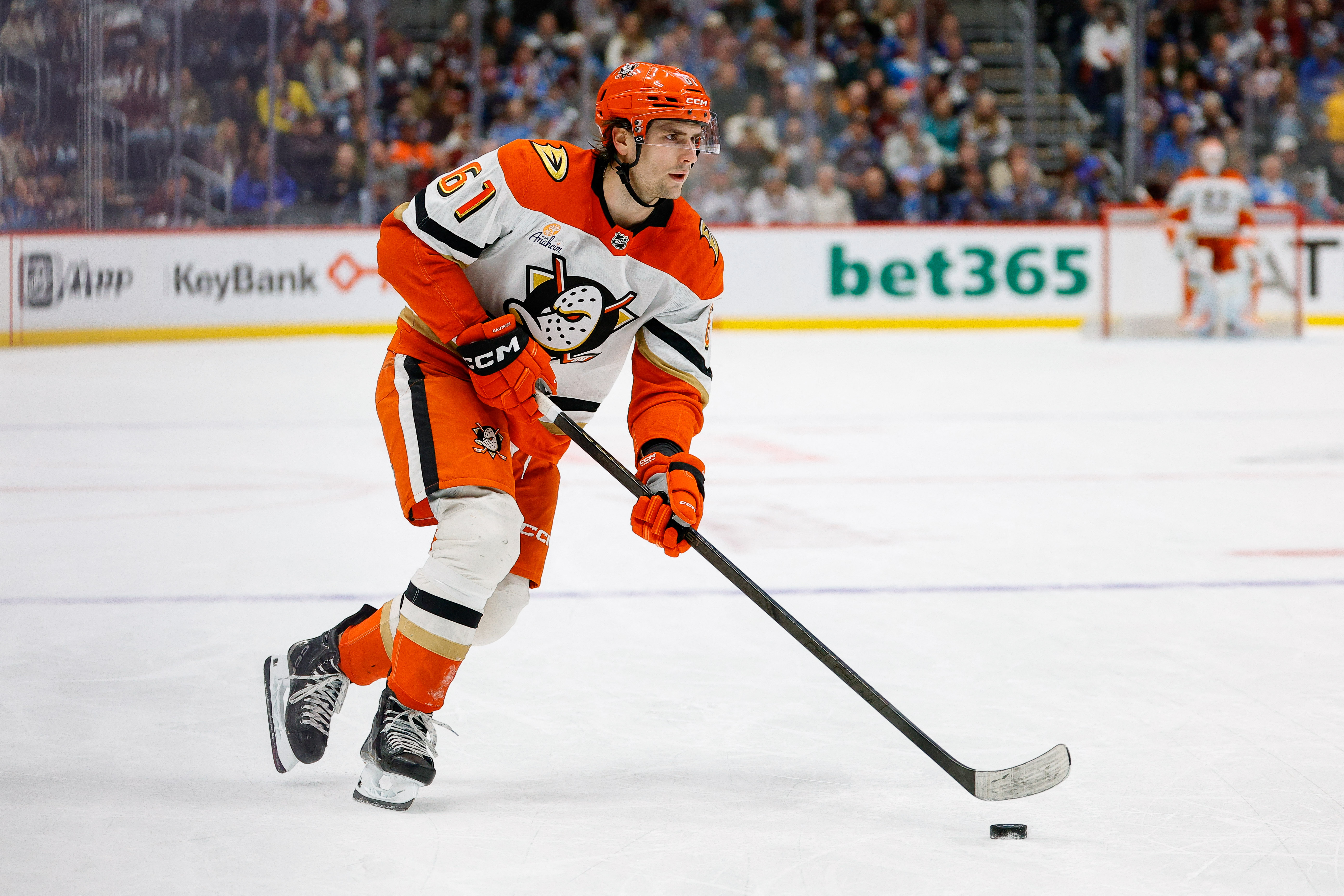 Anaheim Ducks left wing Cutter Gauthier - who's featured in my anytime goal scorer predictions - skates in. 