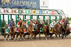 Florida Non-Tribal Casinos Generate $58.1 Million in December Slot Revenue