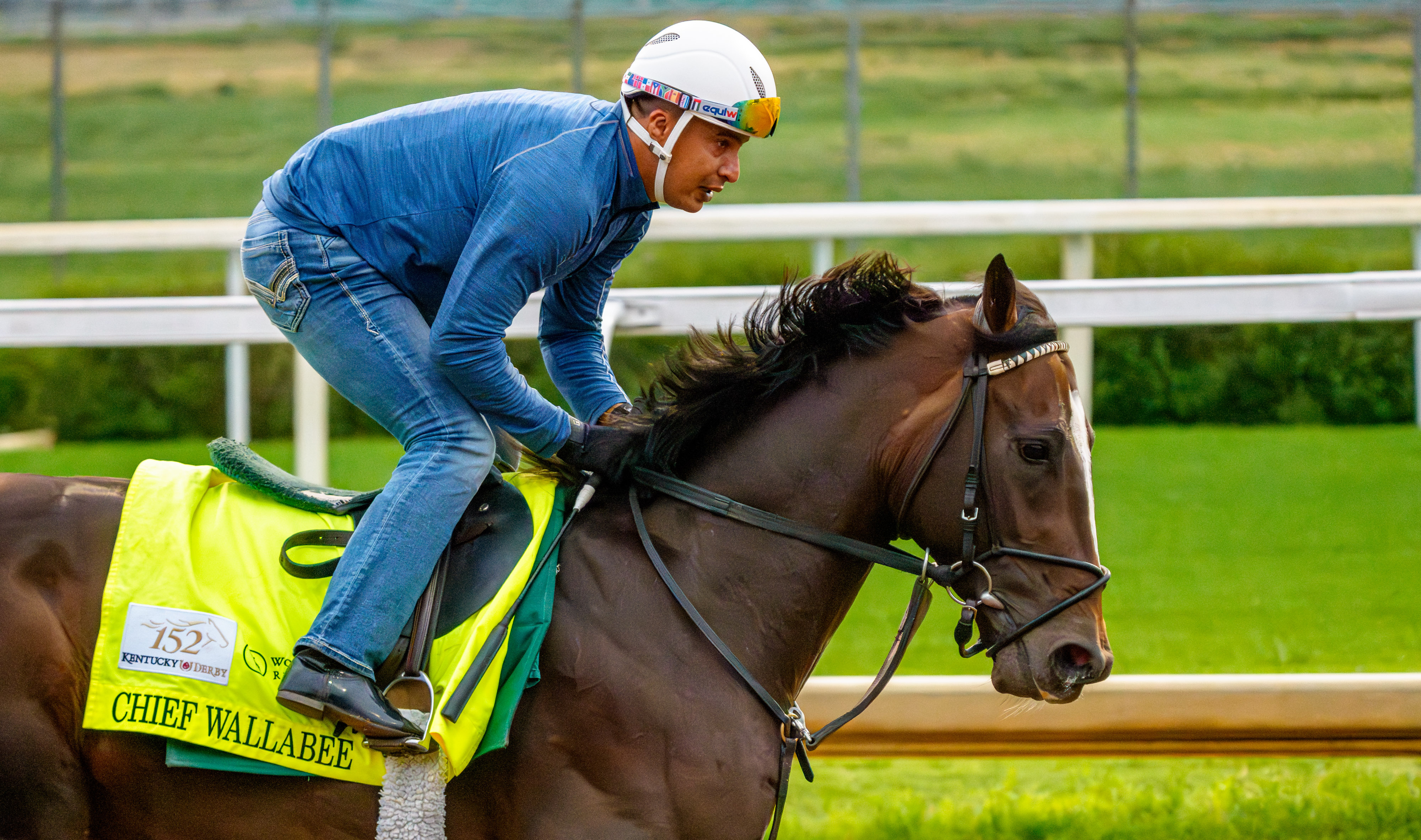 Chief Wallabee, trained by Bill Mott, exercises as horses prepare for the Kentucky Derby as he is featured in our Kentucky Derby picks.