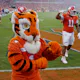 South Carolina Weighs Future of Legal Sports Betting