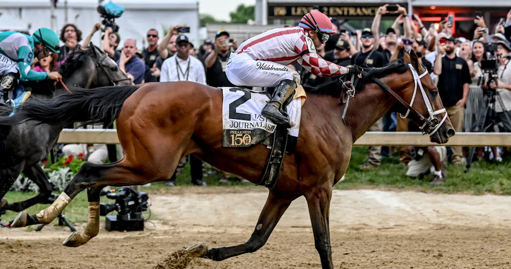 Preakness Stakes odds