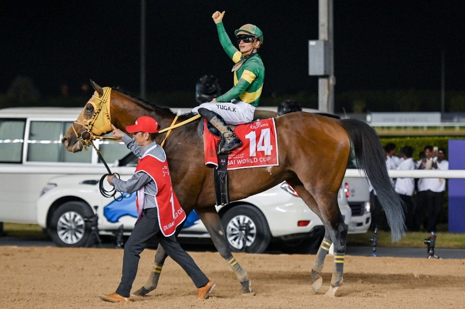 Free Breeders&rsquo; Cup Picks & Predictions 2023 &ndash; Favorite, Long Shot & Fade