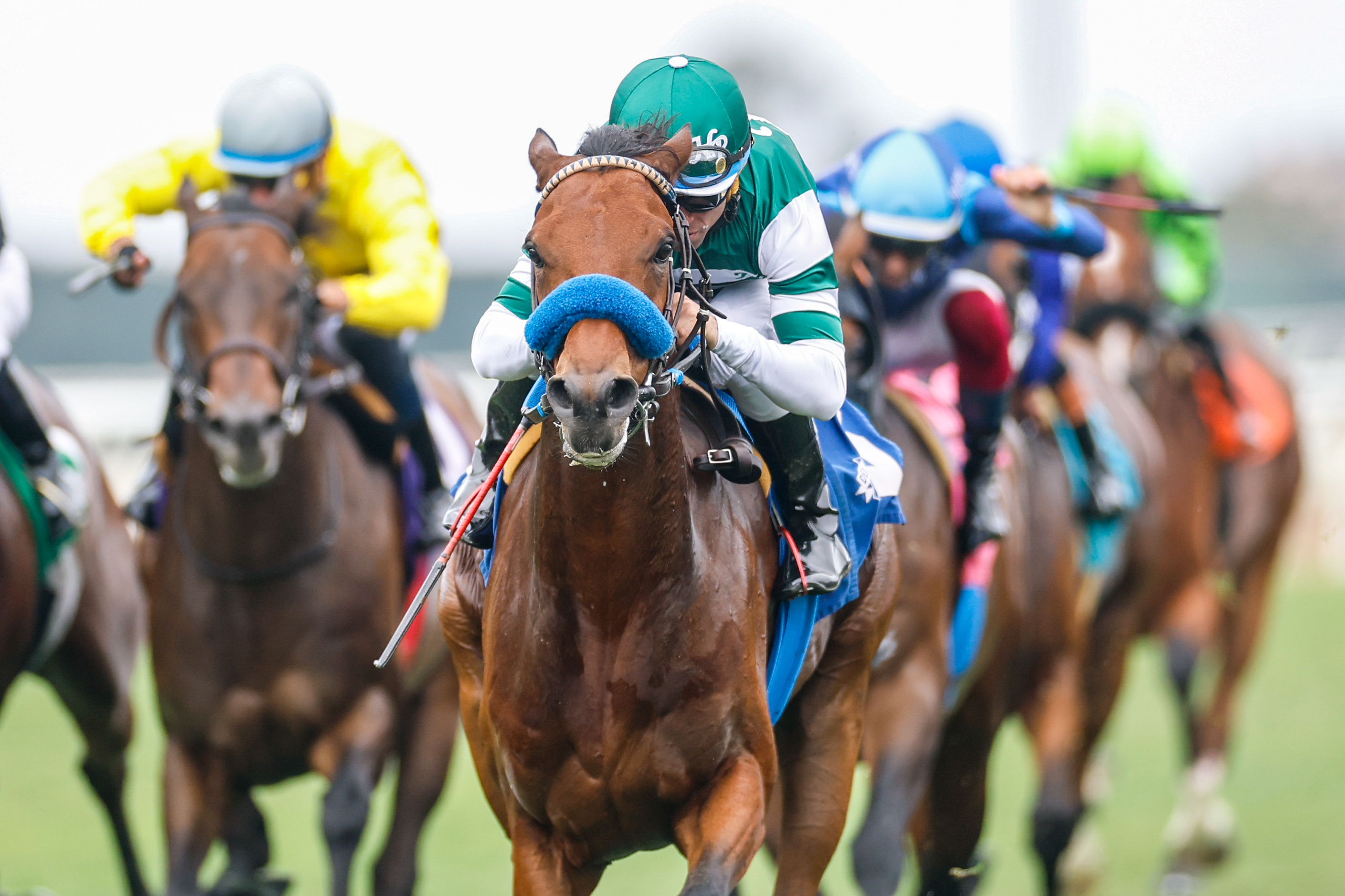Suchet ridden by Joel Rosario as we look at the decline of horse racing wagering