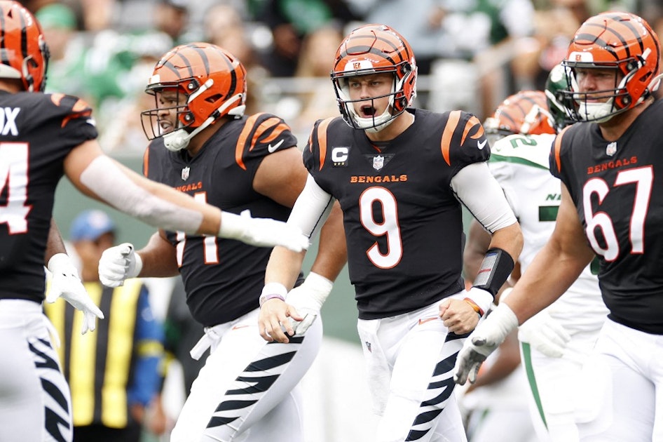 NFL Week 14 Confidence Pool Picks: Bengals Win Against Watson