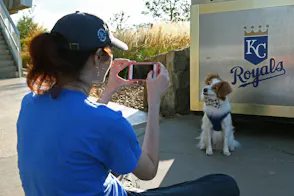 Underdog Partners with Kansas City Royals for Missouri Sports Betting