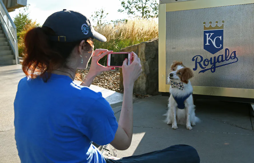 Underdog Partners with Kansas City Royals for Missouri Sports Betting