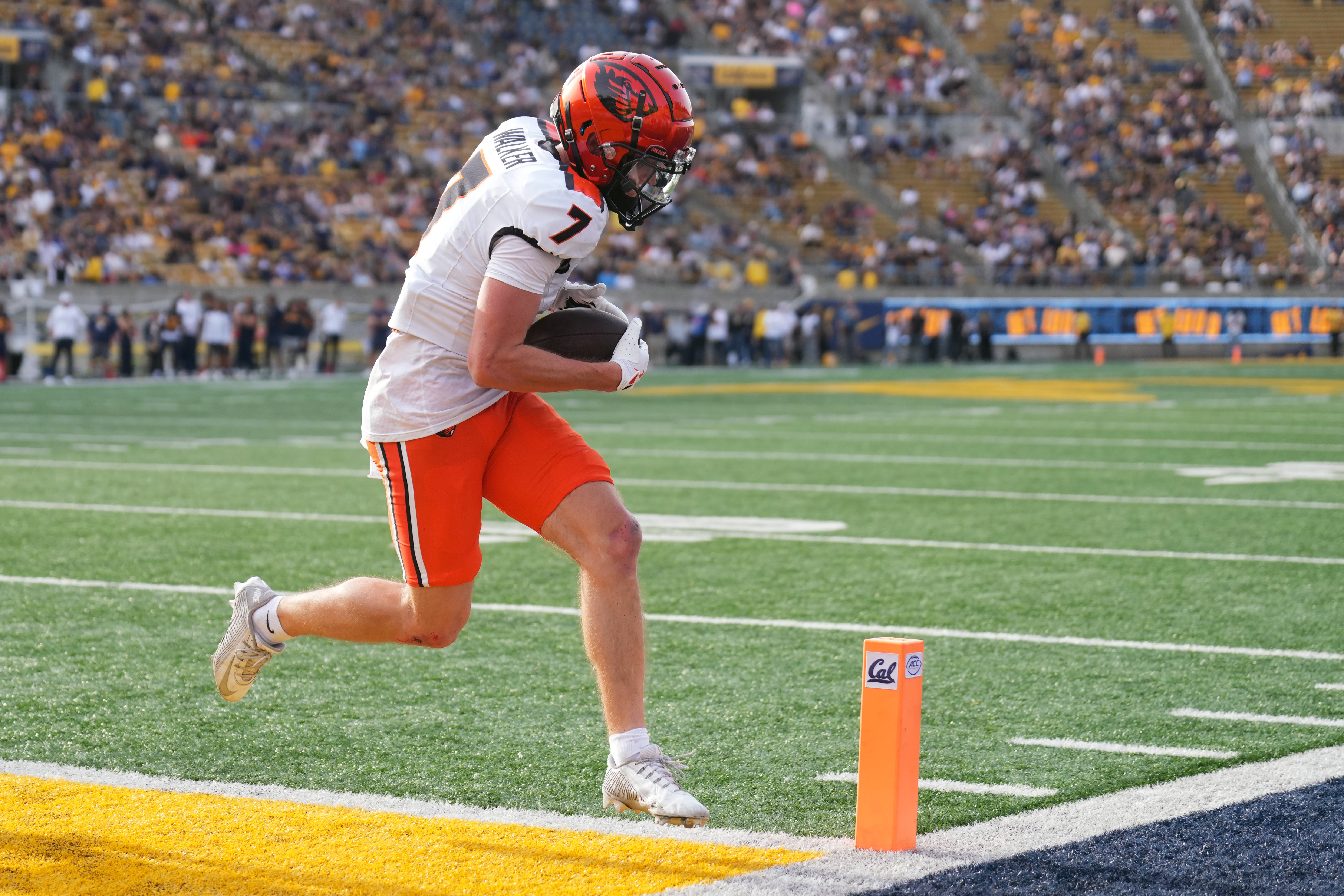 California vs. Oregon State Prediction, Odds & Expert Picks: College Football Week 1 Best Bets
