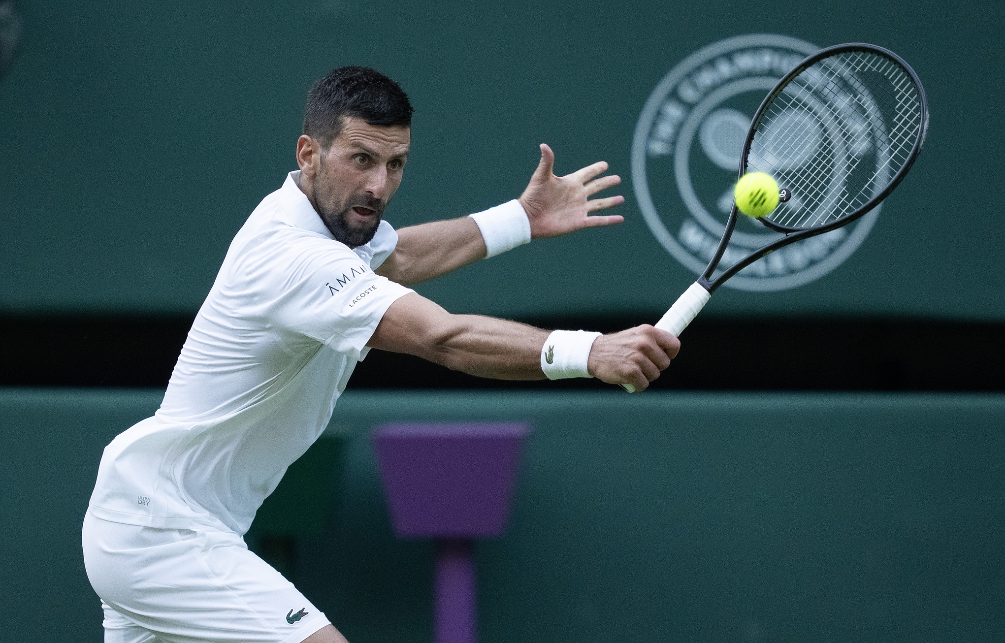 Dan Evans vs. Novak Djokovic Prediction, Odds & Best Bet: Wimbledon 2025 Expert Picks