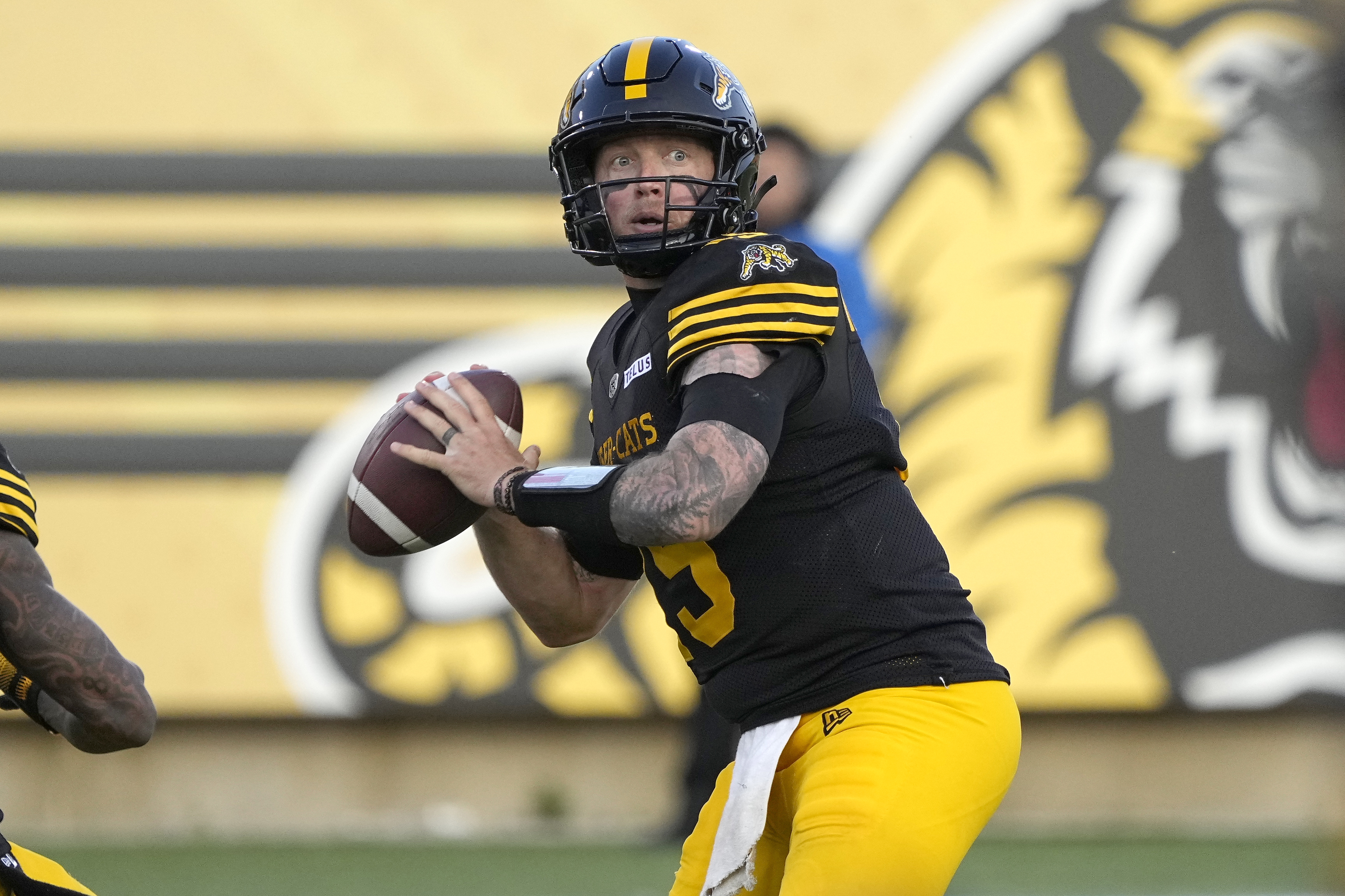 Elks vs. Tiger-Cats Prediction, Odds & Expert Picks: CFL Week 16 Best Bets