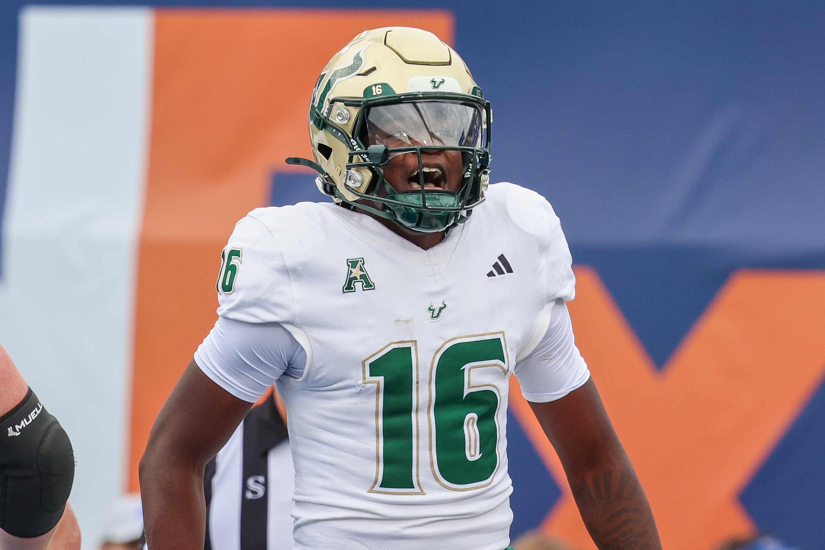 UTSA vs. South Florida Prediction: Tonight's College Football Week 11 Betting Preview
