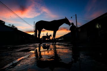 Kentucky Pari-Mutuel Betting Handle Drops to Over $6 Million in December