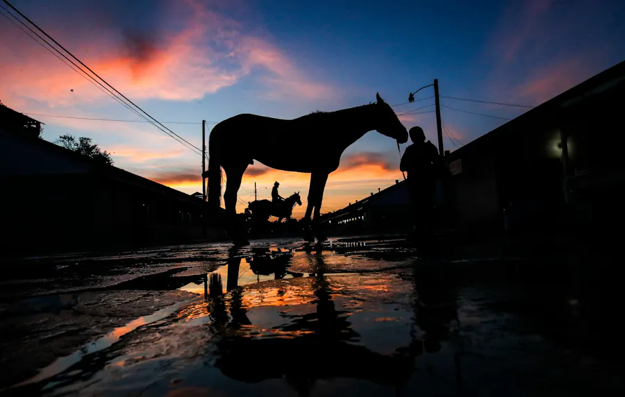 Early morning light of orange and pink is the backdrop on the Churchill Downs as we look at December peri-mutuel gambling in Kentucky.