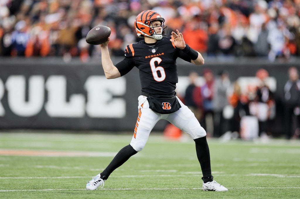 Vikings vs. Bengals Prediction, Pick & Odds Week 15 Saturday