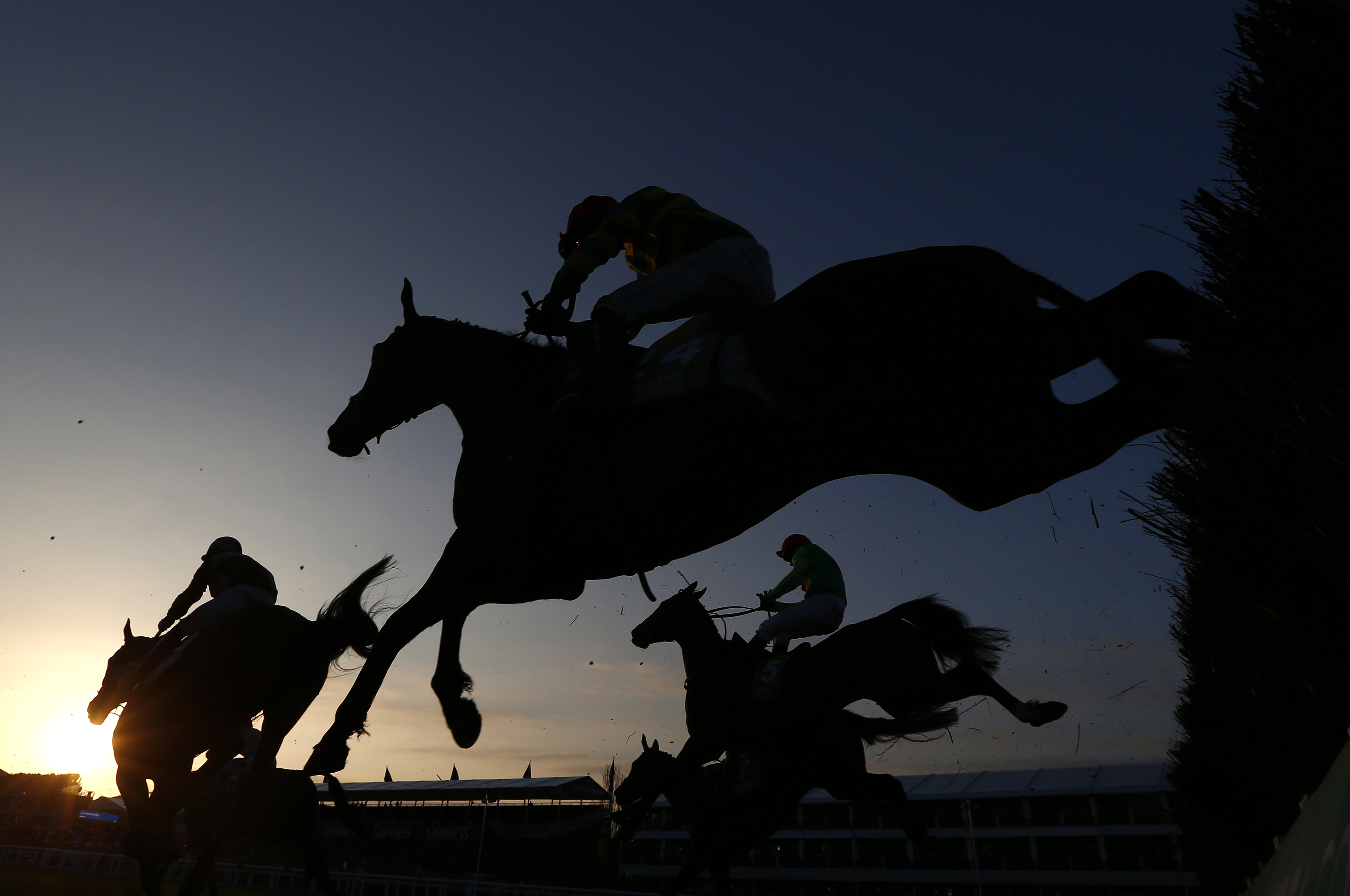 Horses and riders are silhouetted against the setting sun as we look at South Carolina considering on-track wagers for steeplechase.