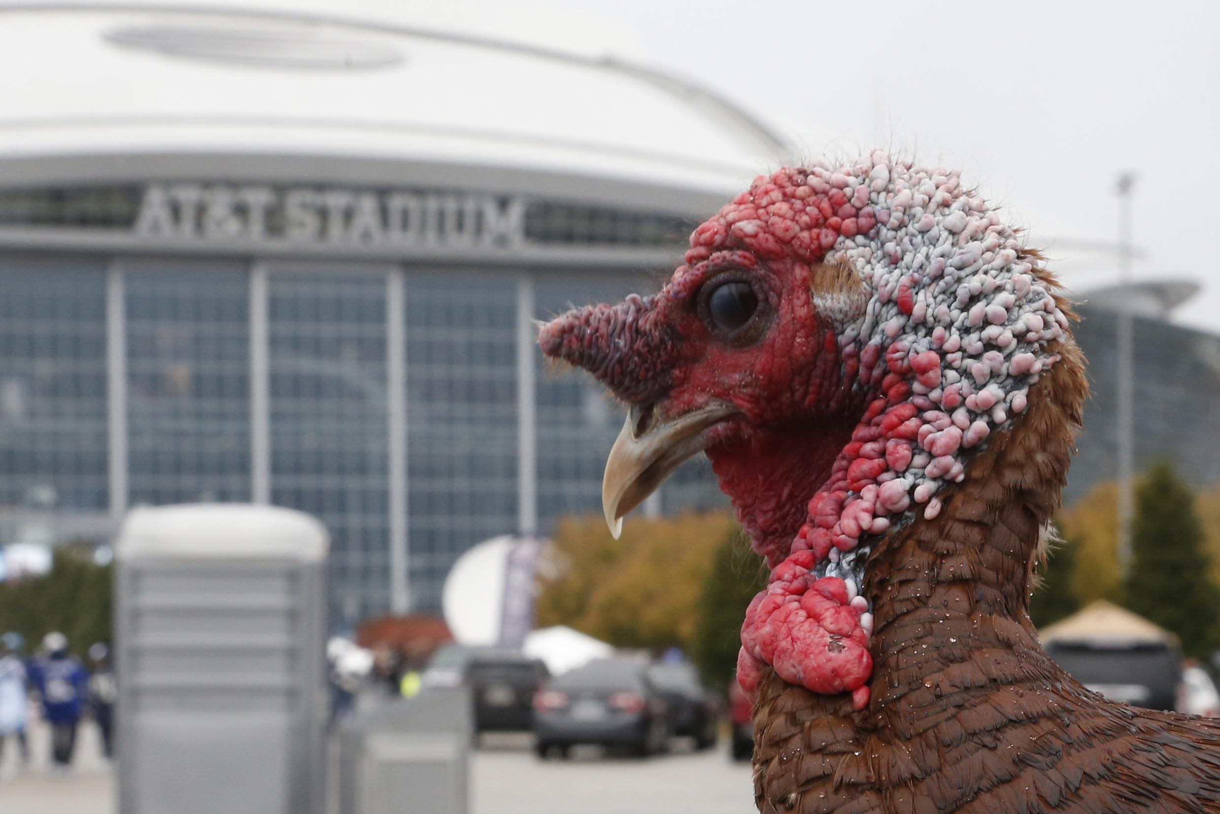 NFL Odds Week 13: Lines, Spreads & Totals for Every Thanksgiving Week Game