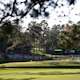 A view of the 15th green at Augusta National as we look at the top Masters prop bets