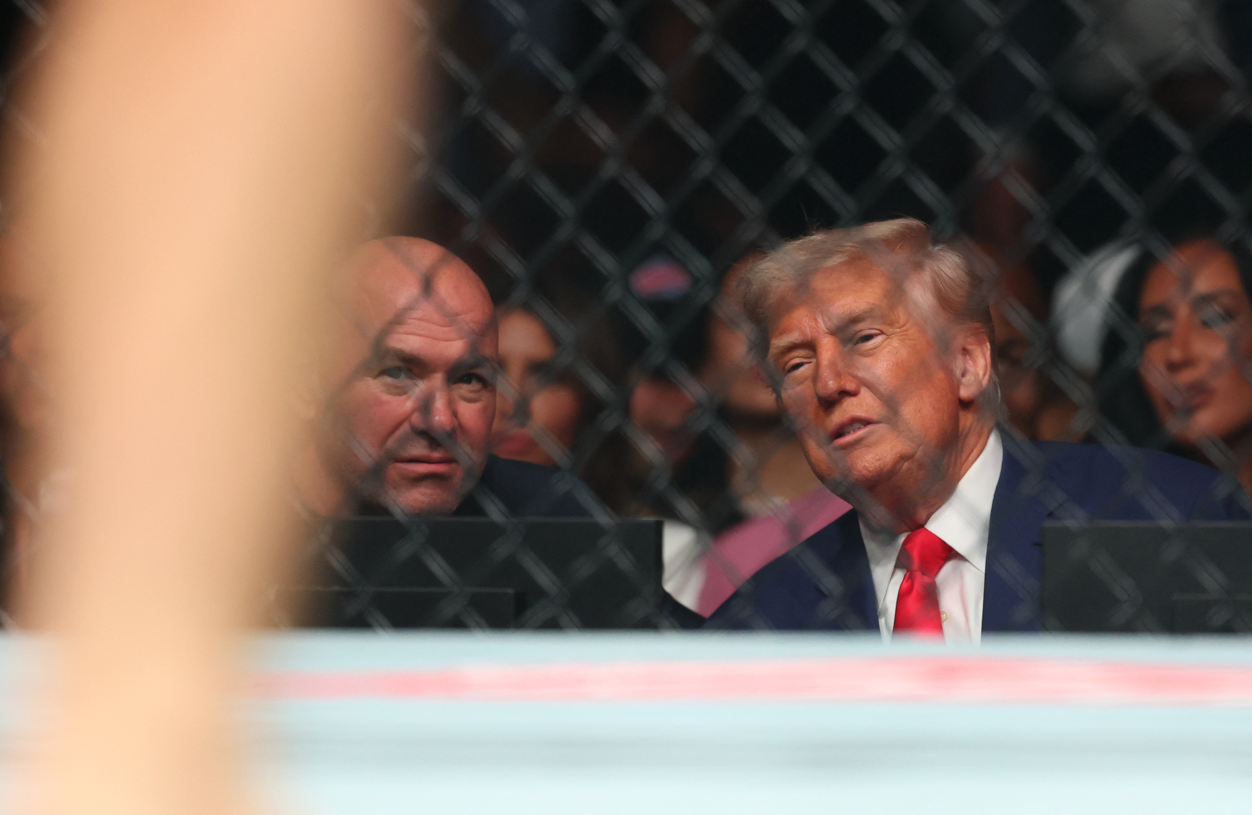 CEO of UFC Dana White talks with the President of the United States Donald Trump during a UFC event as we look at the UFC White House odds