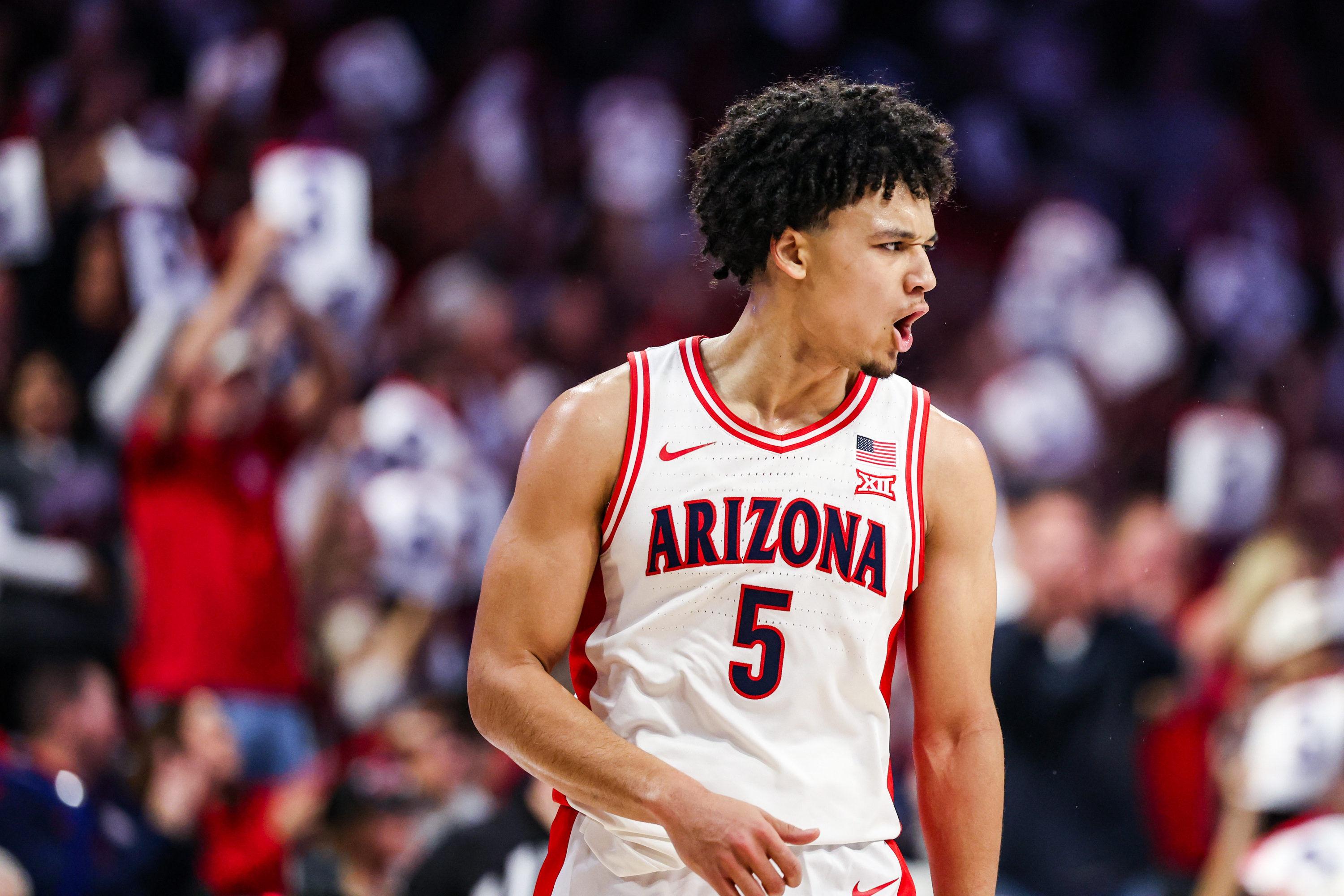 Arizona's Undefeated Chase: Can Wildcats Survive and Beat the March Madness Curse?