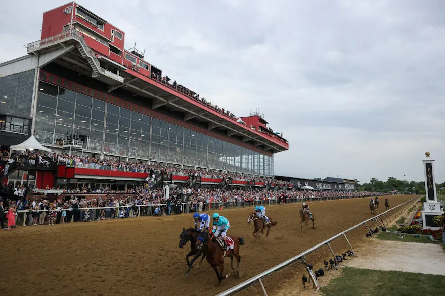 Preakness Stakes Odds & Betting Lines 2024 Favorites, Underdogs, and